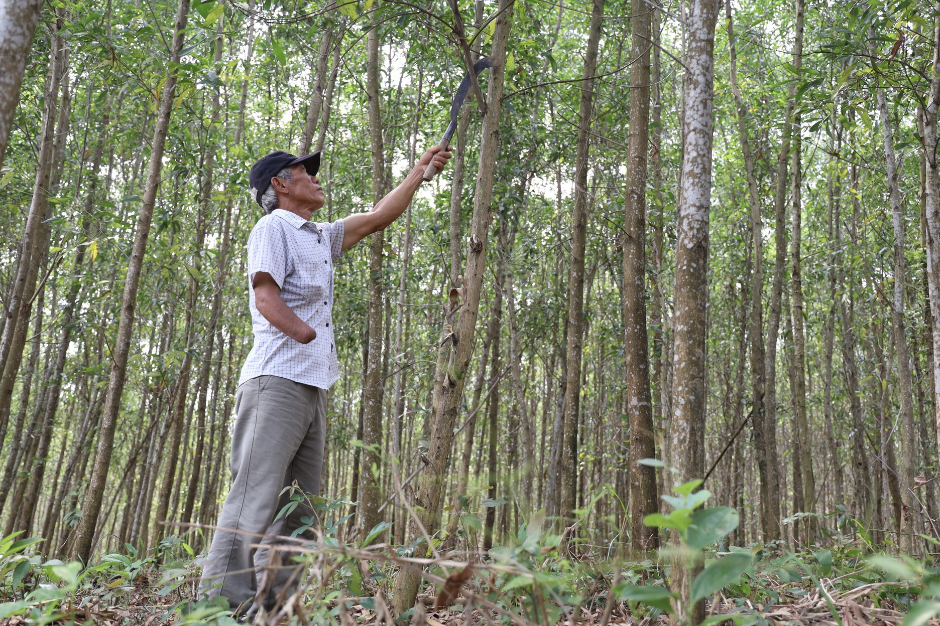 Vietnam: farming with confidence | MAG