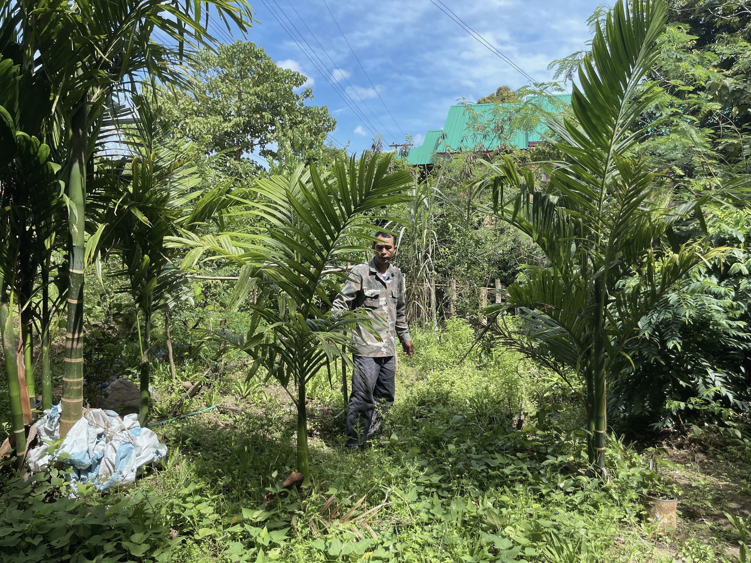 Making land safe in Laos | MAG