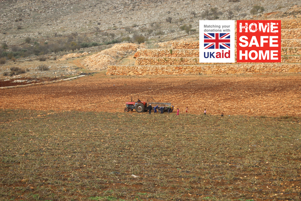 Farming is main source of income for many communities in Majdal Balhis