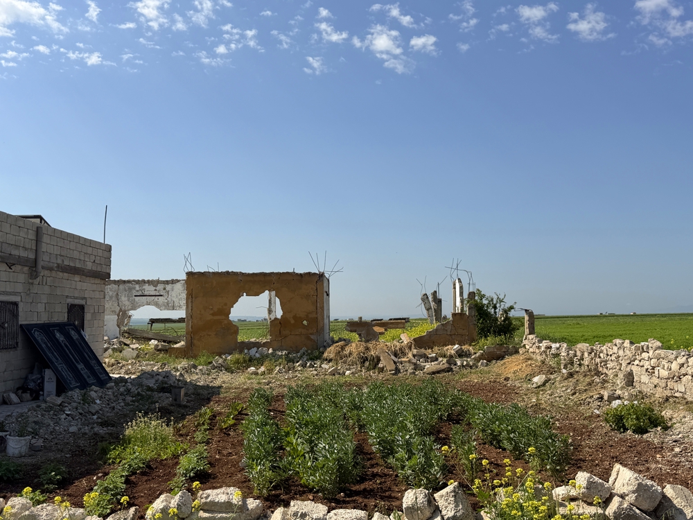 Hamameyat, Syria